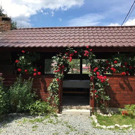Casa Cerbu Arieşeni